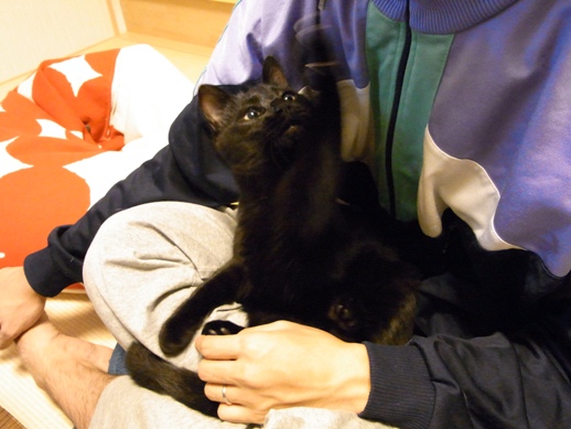 f:id:akiyochan15:20111105231159j:image