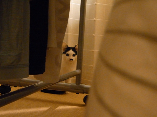 f:id:akiyochan15:20111109233738j:image f:id:akiyochan15:20111109233738j:image