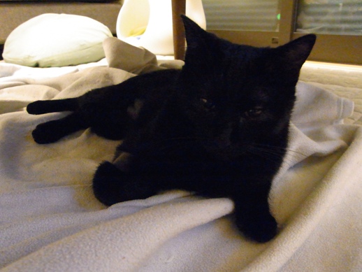 f:id:akiyochan15:20111113010522j:image