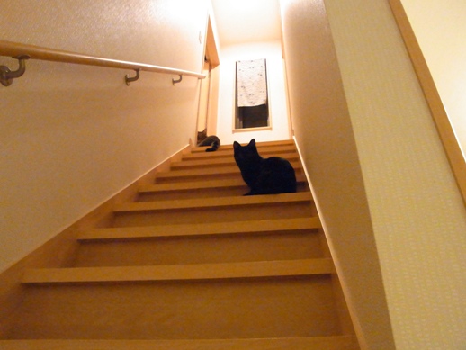 f:id:akiyochan15:20111113024426j:image