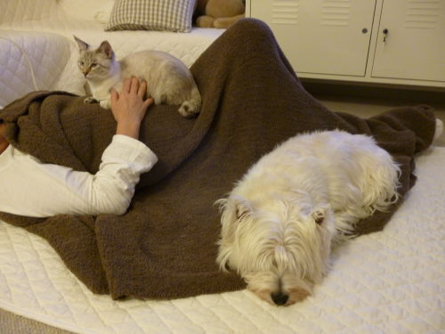 f:id:akiyochan15:20111120225646j:image