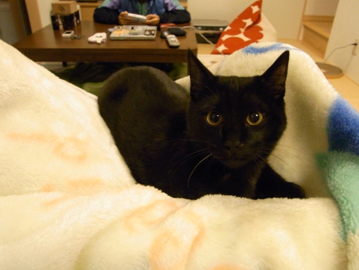 f:id:akiyochan15:20111121002146j:image