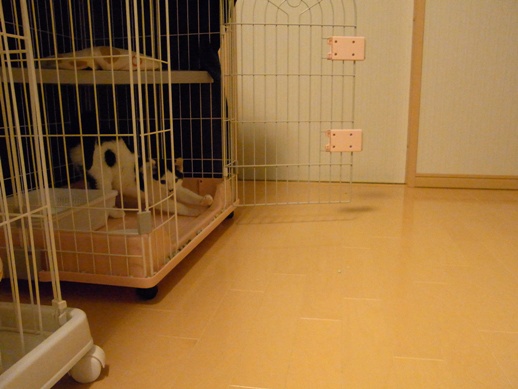 f:id:akiyochan15:20111122001841j:image