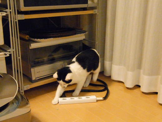 f:id:akiyochan15:20111122002608j:image