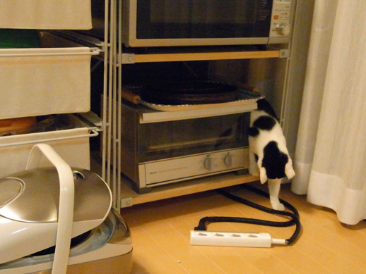 f:id:akiyochan15:20111122002634j:image