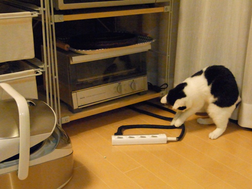 f:id:akiyochan15:20111122002657j:image