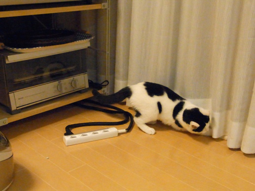 f:id:akiyochan15:20111122002717j:image