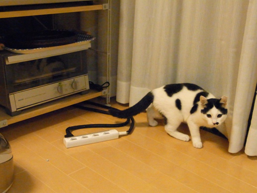 f:id:akiyochan15:20111122002719j:image