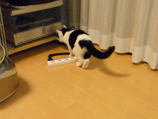 f:id:akiyochan15:20111122002735j:image:w518