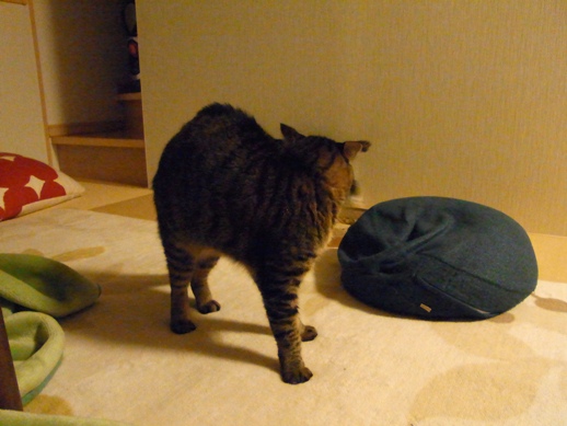 f:id:akiyochan15:20111122030826j:image