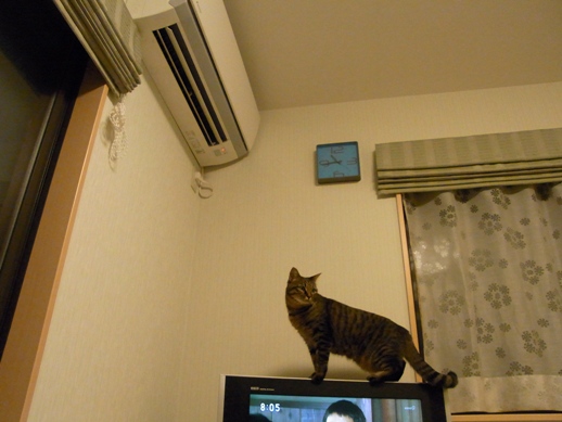 f:id:akiyochan15:20111122231105j:image