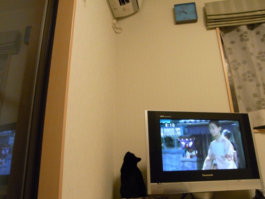 f:id:akiyochan15:20111122231617j:image