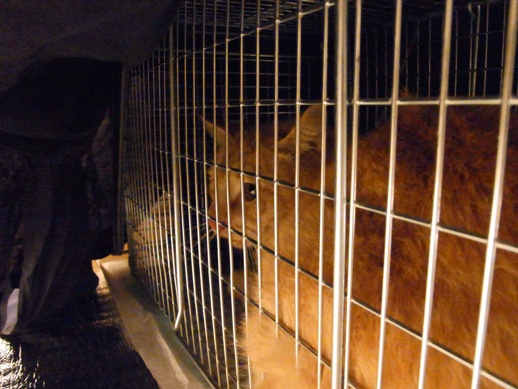 f:id:akiyochan15:20111123213910j:image