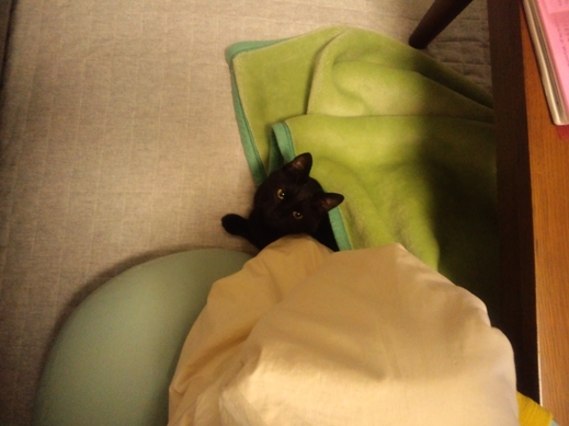 f:id:akiyochan15:20111128224200j:image