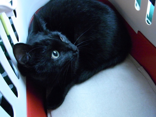 f:id:akiyochan15:20111203135514j:image