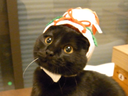 f:id:akiyochan15:20111209010939j:image:w360