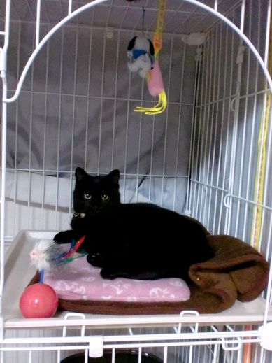 f:id:akiyochan15:20111210230539j:image