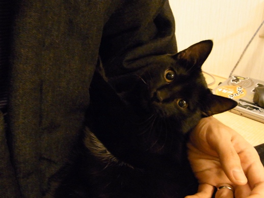 f:id:akiyochan15:20111212011410j:image