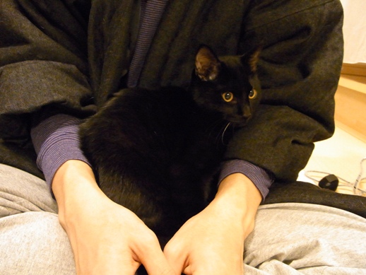 f:id:akiyochan15:20111212011451j:image