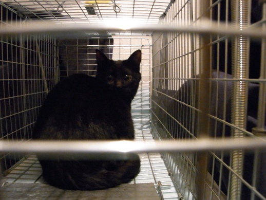 f:id:akiyochan15:20111223020151j:image