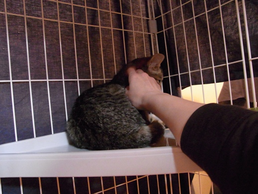 f:id:akiyochan15:20111227083628j:image