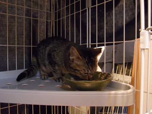 f:id:akiyochan15:20111228081057j:image f:id:akiyochan15:20111228081057j:image