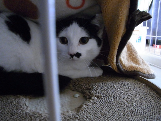 f:id:akiyochan15:20111229130027j:image f:id:akiyochan15:20111229130027j:image