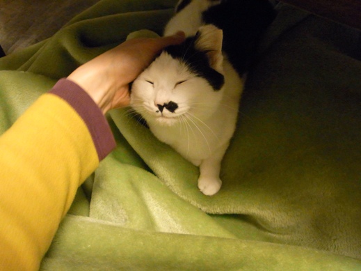 f:id:akiyochan15:20120104172507j:image