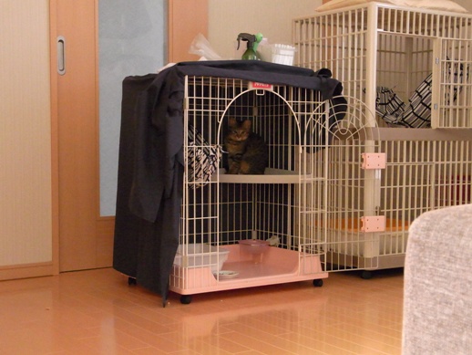 f:id:akiyochan15:20120107153009j:image f:id:akiyochan15:20120107153009j:image
