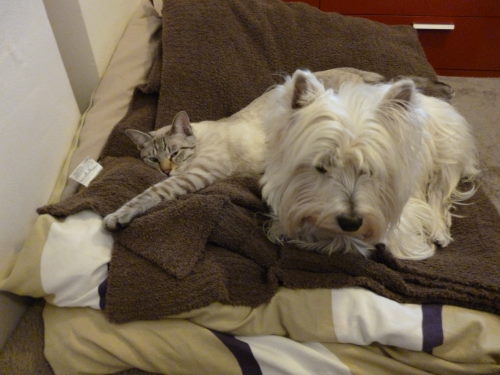 f:id:akiyochan15:20120113152627j:image