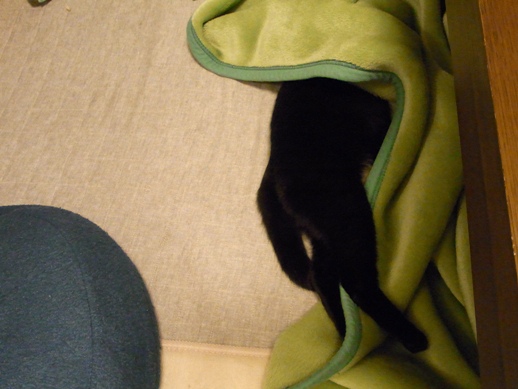 f:id:akiyochan15:20120121234552j:image