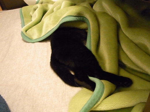 f:id:akiyochan15:20120121234559j:image