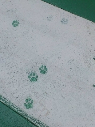 f:id:akiyochan15:20120202173306j:image