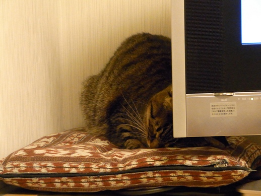 f:id:akiyochan15:20120202183430j:image