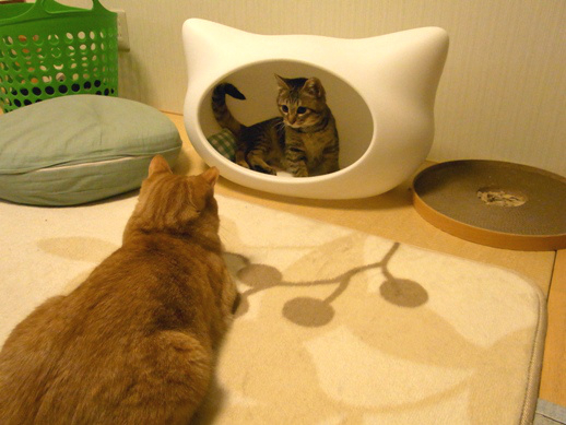 f:id:akiyochan15:20120206011834j:image