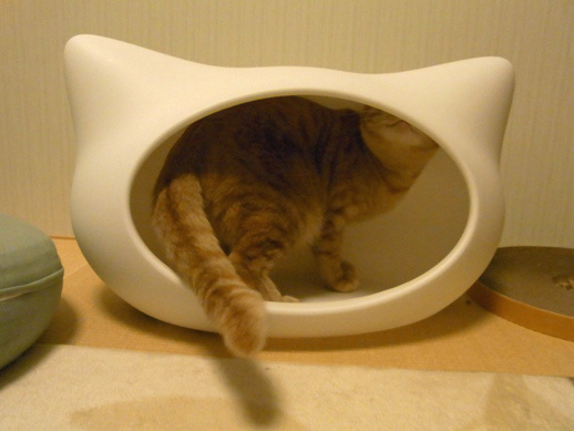 f:id:akiyochan15:20120206011955j:image