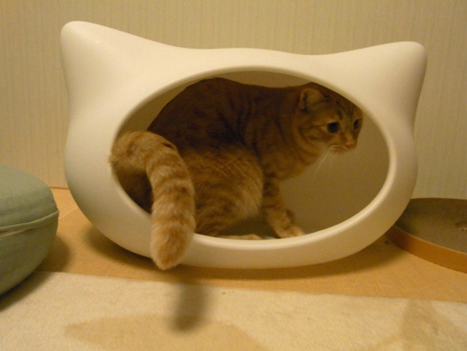 f:id:akiyochan15:20120206011956j:image