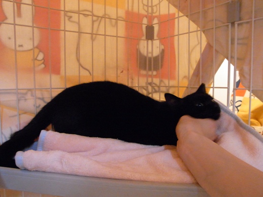 f:id:akiyochan15:20120206095611j:image