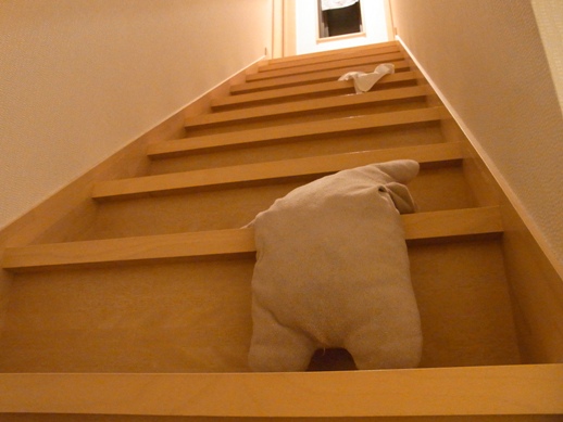 f:id:akiyochan15:20120207022403j:image