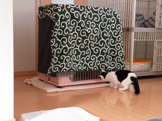 f:id:akiyochan15:20120208135342j:image