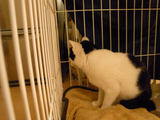 f:id:akiyochan15:20120209023626j:image f:id:akiyochan15:20120209023626j:image