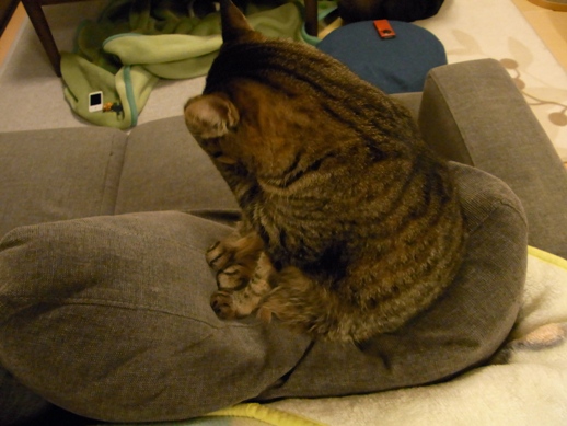 f:id:akiyochan15:20120210005228j:image