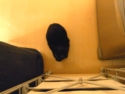 f:id:akiyochan15:20120212003306j:image f:id:akiyochan15:20120212003306j:image