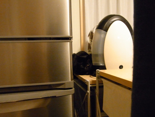 f:id:akiyochan15:20120213001352j:image f:id:akiyochan15:20120213001352j:image