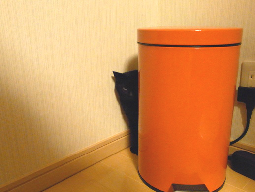 f:id:akiyochan15:20120215003542j:image