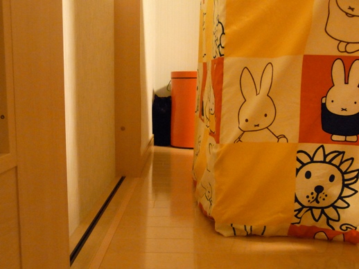 f:id:akiyochan15:20120215003619j:image