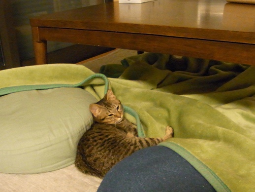 f:id:akiyochan15:20120215212322j:image