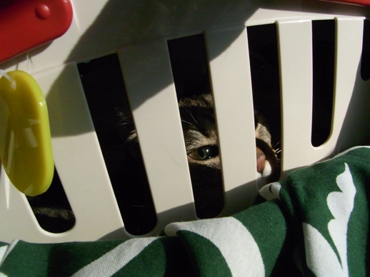 f:id:akiyochan15:20120216142739j:image