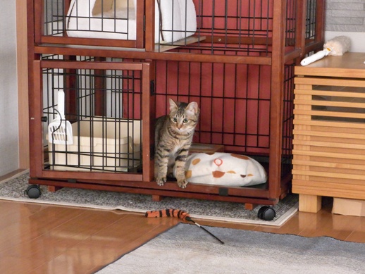 f:id:akiyochan15:20120216165542j:image