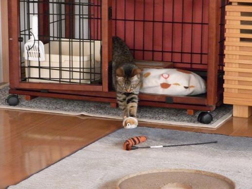 f:id:akiyochan15:20120216170412j:image